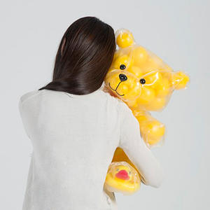 25togo_Mr.B 收納熊