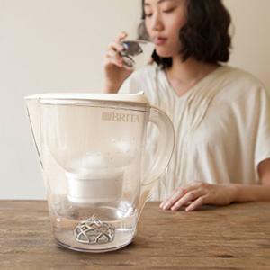 物 WOO Collective_花栗 純錫抑菌器 居家版