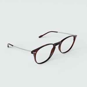 NOOZ_時尚造型老花眼鏡 鏡腳便攜款 （橢圓-玳瑁色）