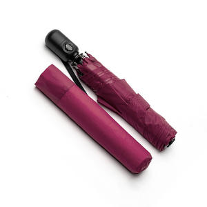 A.Brolly 亞伯尼_TUBE AUTO 防撞自動傘（六色選）